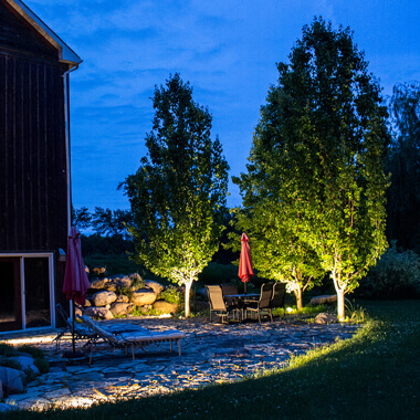 Cottage backyard and trees uplighting